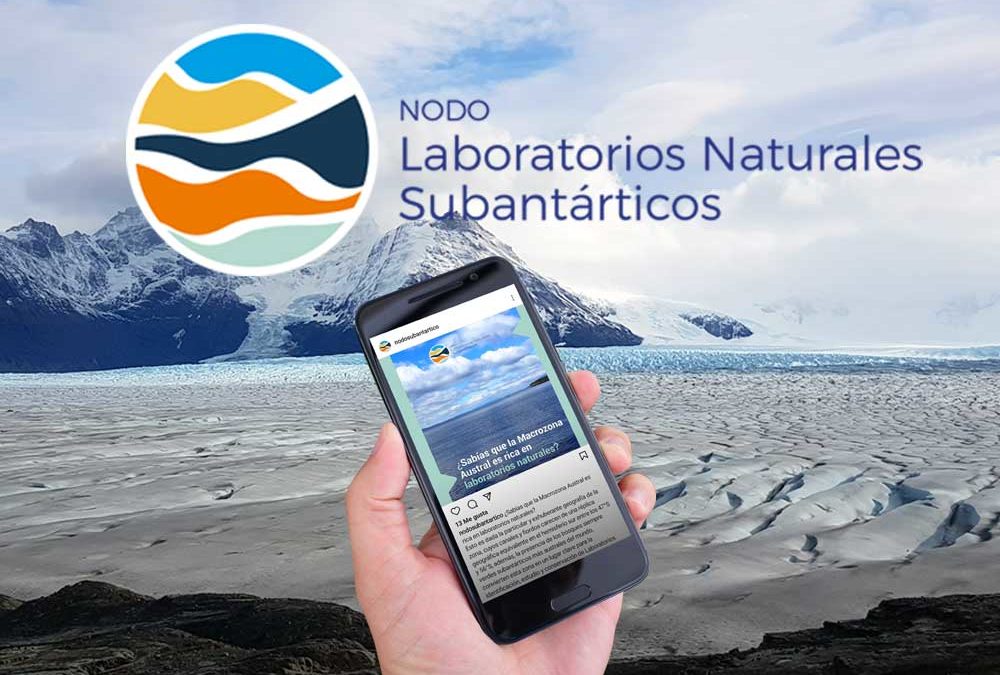 Nodo Laboratorios Naturales Subantárticos
