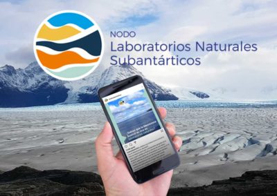 Nodo Laboratorios Naturales Subantárticos