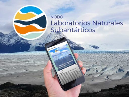 Nodo Laboratorios Naturales Subantárticos